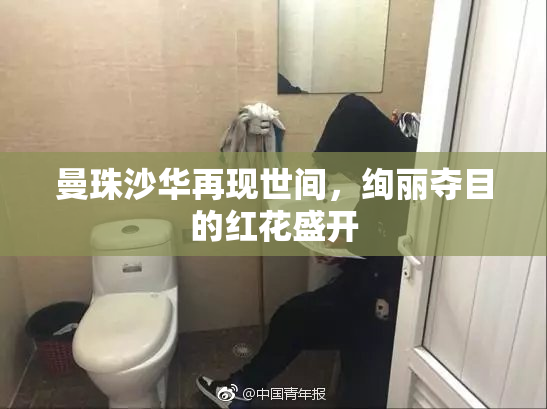 曼珠沙华再现世间，绚丽夺目的红花盛开