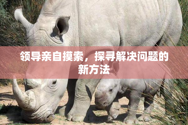 领导亲自摸索，探寻解决问题的新方法
