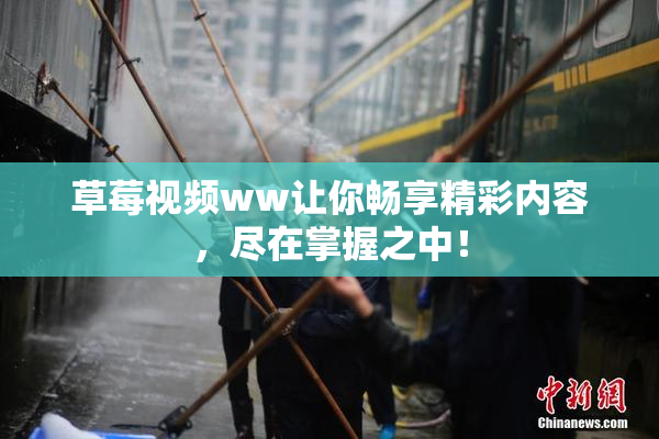 草莓视频ww让你畅享精彩内容，尽在掌握之中！