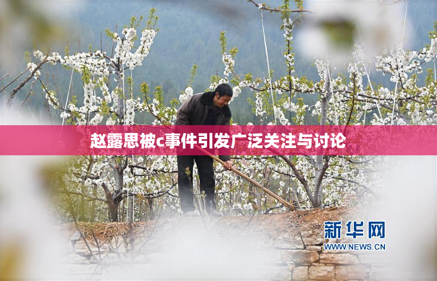 赵露思被c事件引发广泛关注与讨论