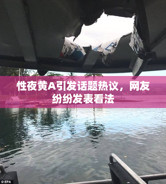 性夜黄A引发话题热议，网友纷纷发表看法