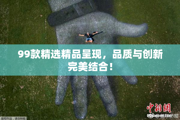 99款精选精品呈现，品质与创新完美结合！