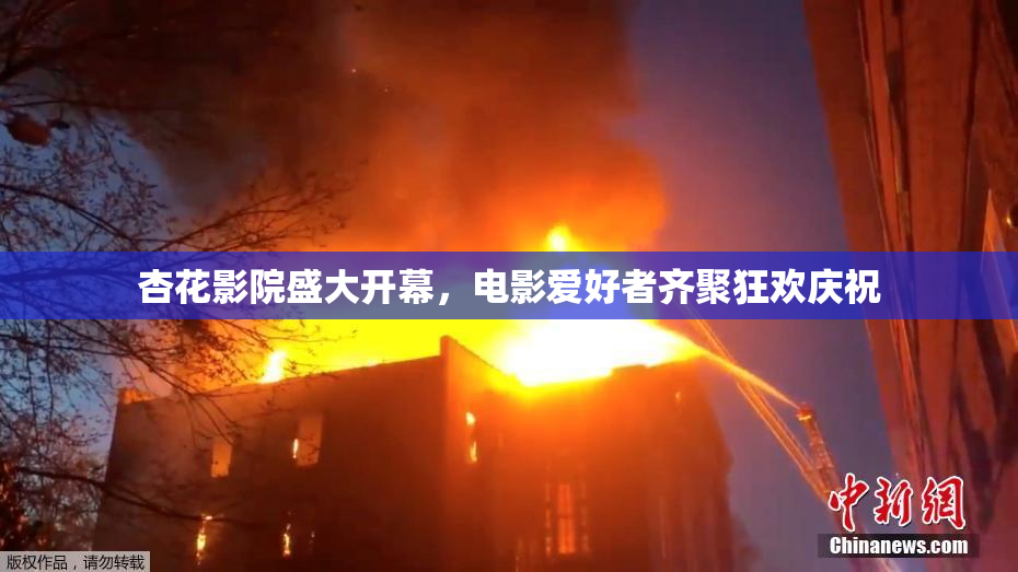 杏花影院盛大开幕，电影爱好者齐聚狂欢庆祝