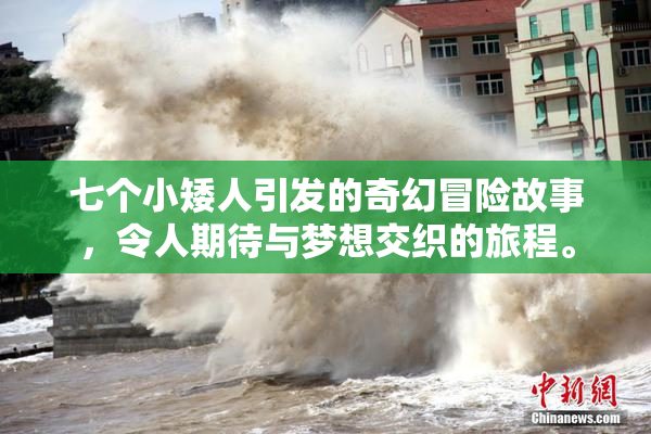 七个小矮人引发的奇幻冒险故事，令人期待与梦想交织的旅程。