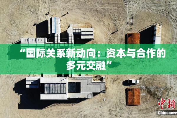 “国际关系新动向：资本与合作的多元交融”