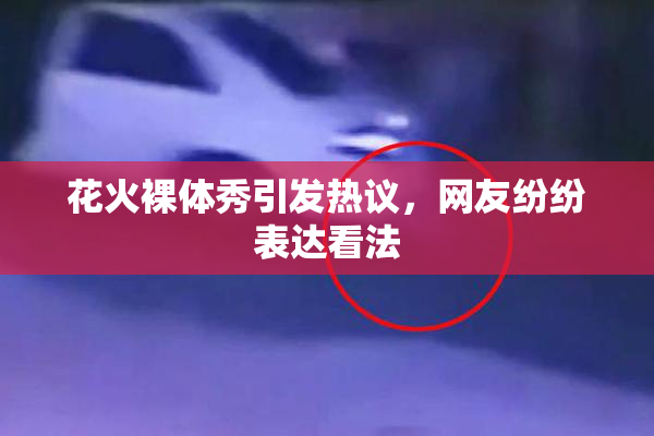 花火裸体秀引发热议，网友纷纷表达看法