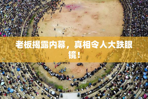老板揭露内幕，真相令人大跌眼镜！
