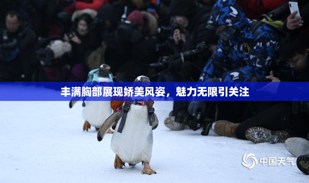 丰满胸部展现娇美风姿，魅力无限引关注