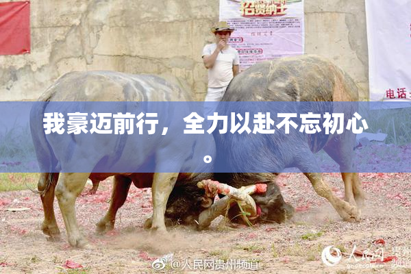 我豪迈前行，全力以赴不忘初心。