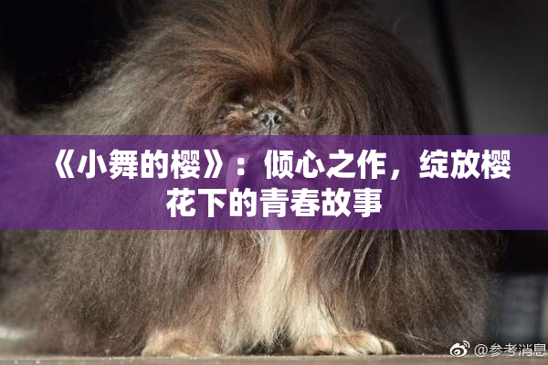 《小舞的樱》：倾心之作，绽放樱花下的青春故事