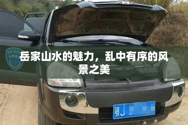 岳家山水的魅力，乱中有序的风景之美