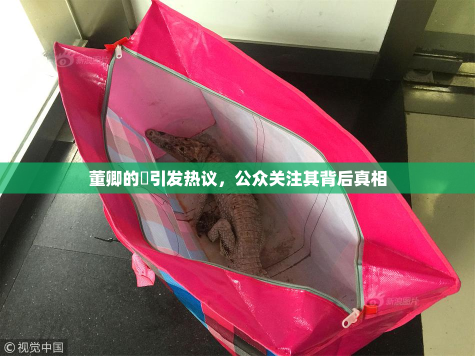 董卿的婬引发热议，公众关注其背后真相