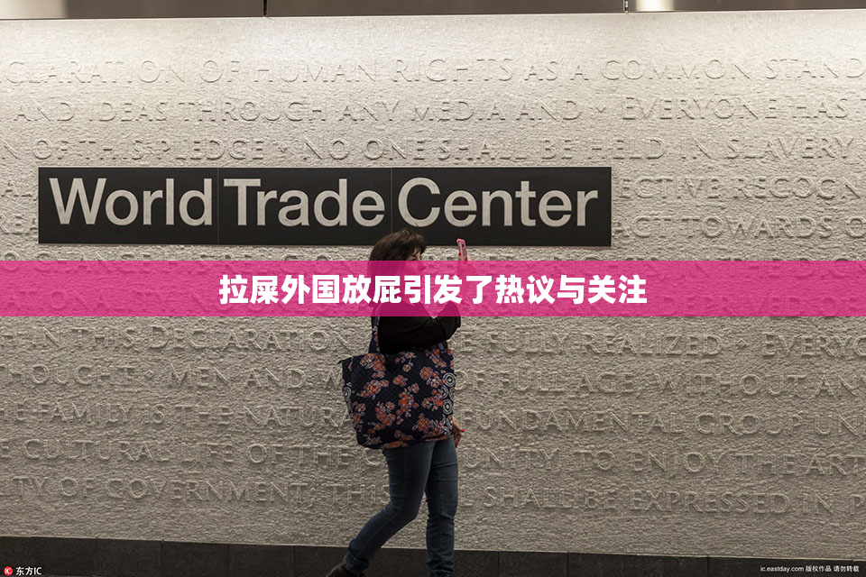 拉屎外国放屁引发了热议与关注