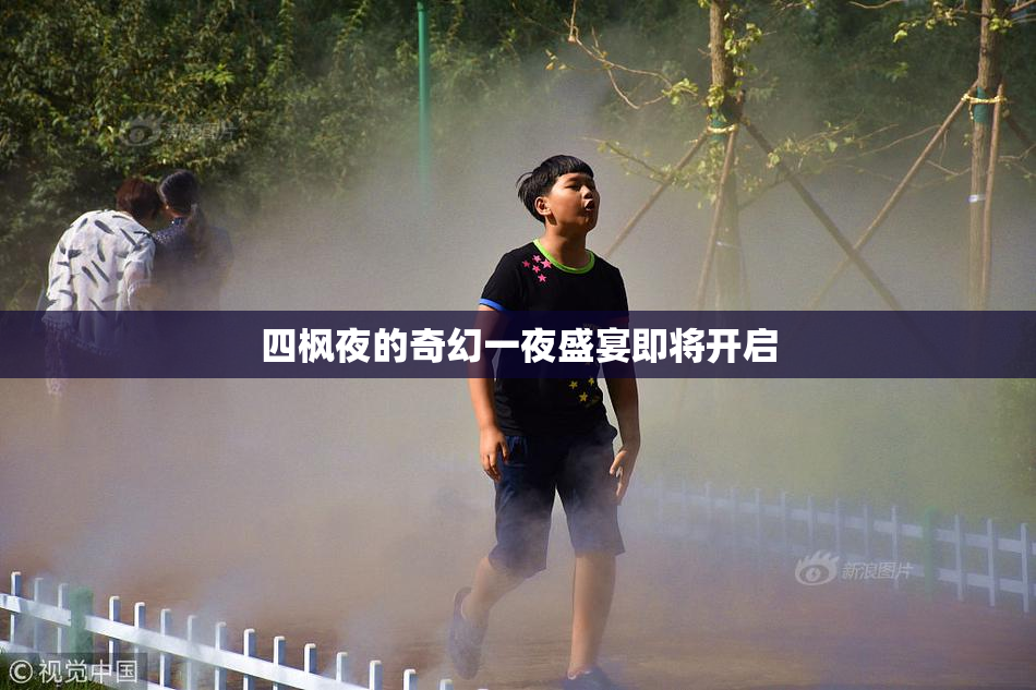 四枫夜的奇幻一夜盛宴即将开启