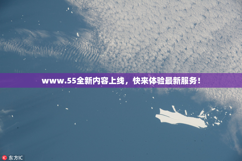 www.55全新内容上线，快来体验最新服务！