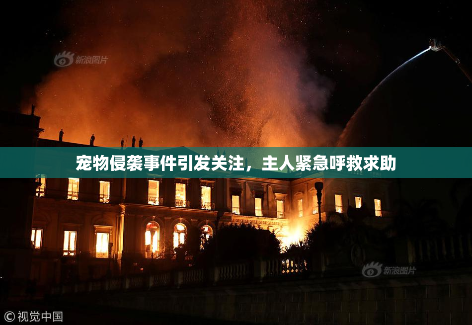 宠物侵袭事件引发关注，主人紧急呼救求助