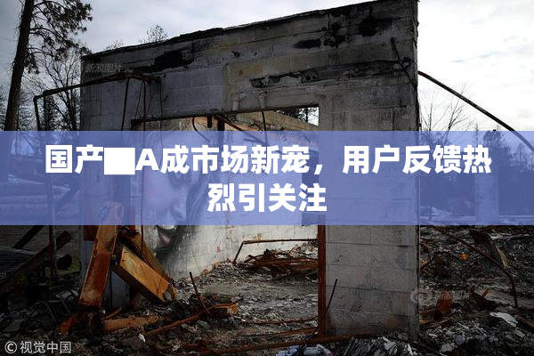国产▇A成市场新宠，用户反馈热烈引关注