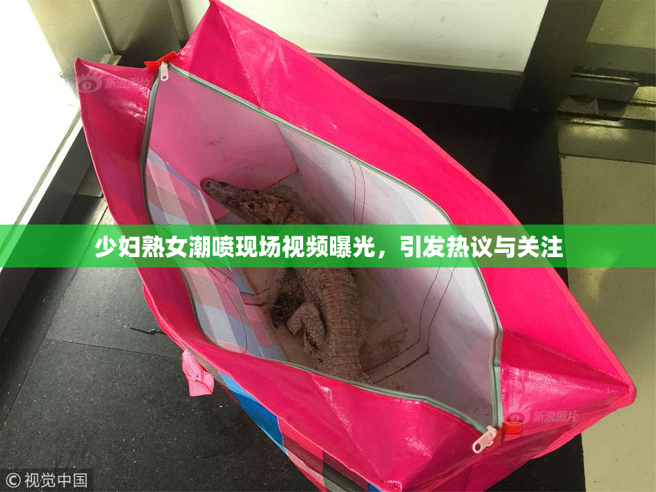 少妇熟女潮喷现场视频曝光，引发热议与关注