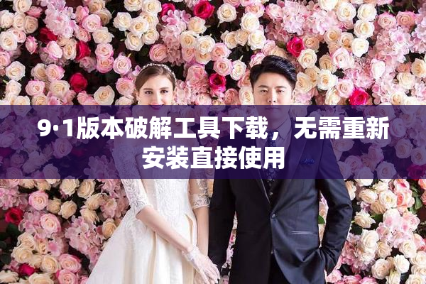 9·1版本破解工具下载，无需重新安装直接使用