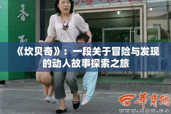 《坎贝奇》：一段关于冒险与发现的动人故事探索之旅