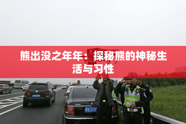 熊出没之年年：探秘熊的神秘生活与习性