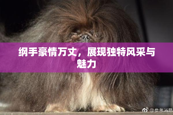 纲手豪情万丈，展现独特风采与魅力