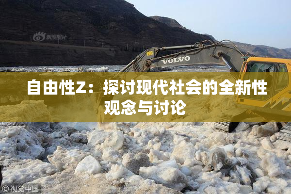 自由性Z：探讨现代社会的全新性观念与讨论