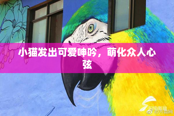 小猫发出可爱呻吟，萌化众人心弦