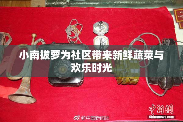小南拔萝为社区带来新鲜蔬菜与欢乐时光