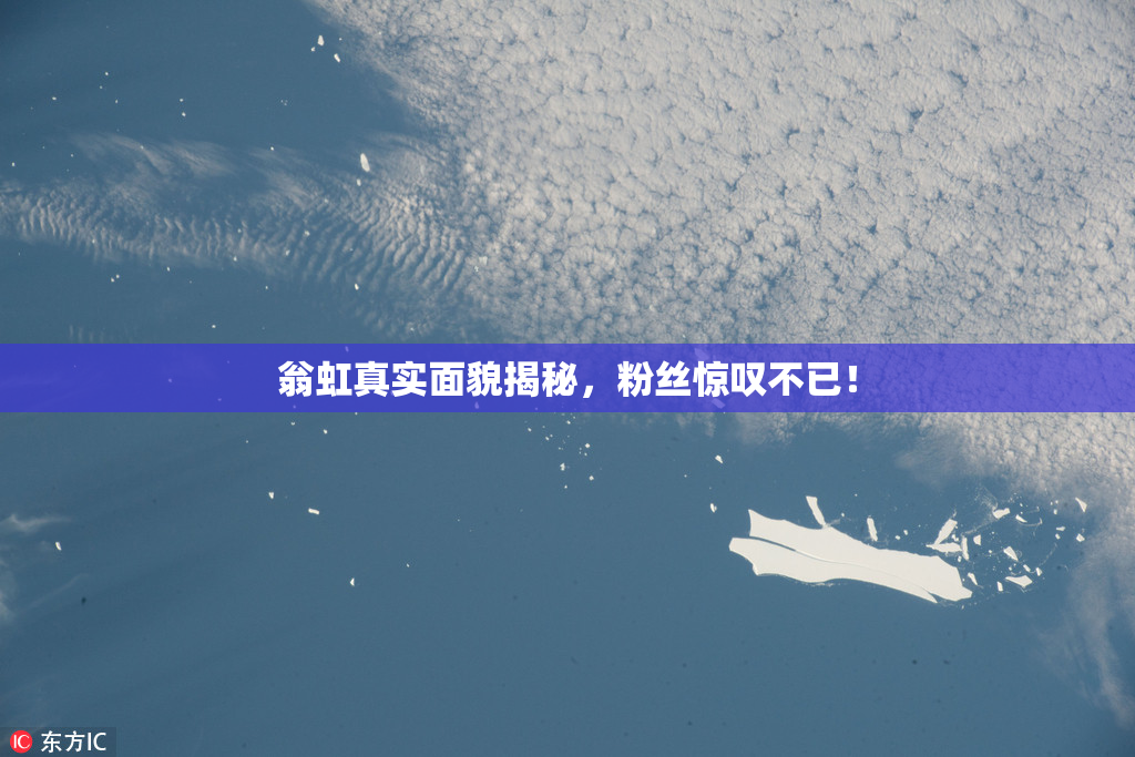 翁虹真实面貌揭秘，粉丝惊叹不已！