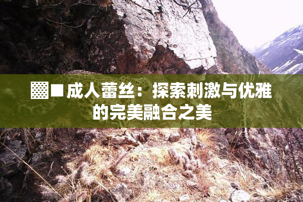 ▓■成人蕾丝：探索刺激与优雅的完美融合之美