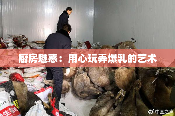 厨房魅惑：用心玩弄爆乳的艺术