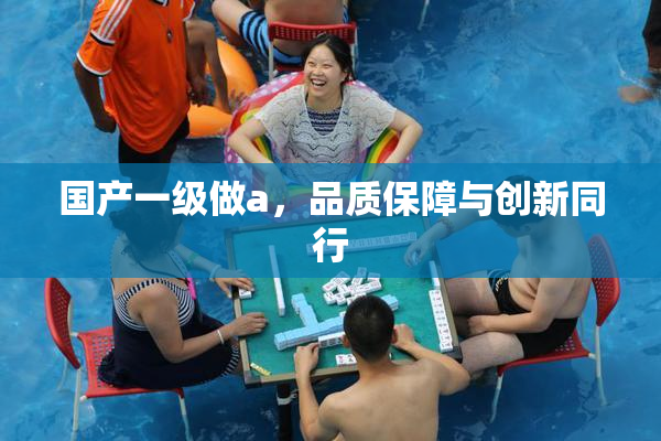 国产一级做a，品质保障与创新同行