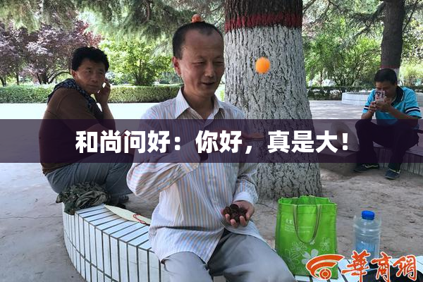 和尚问好：你好，真是大！