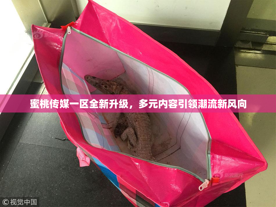 蜜桃传媒一区全新升级，多元内容引领潮流新风向