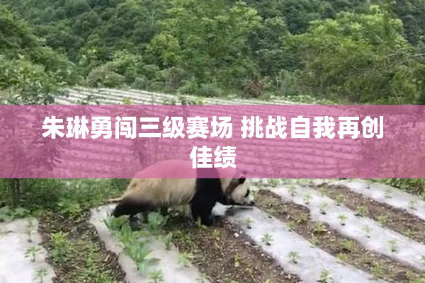 朱琳勇闯三级赛场 挑战自我再创佳绩