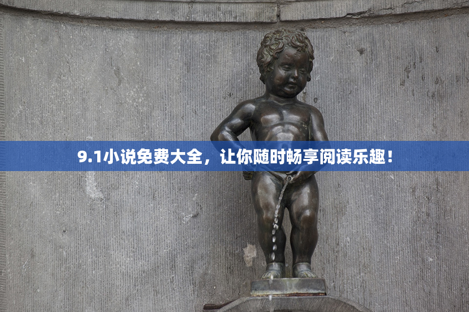 9.1小说免费大全，让你随时畅享阅读乐趣！