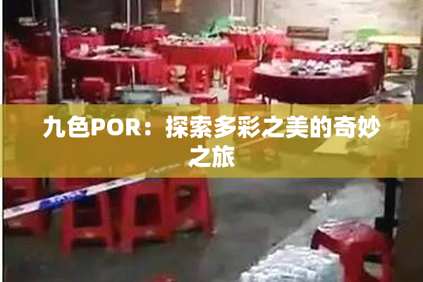 九色POR：探索多彩之美的奇妙之旅
