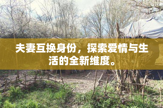 夫妻互换身份，探索爱情与生活的全新维度。