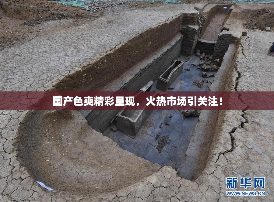 国产色爽精彩呈现，火热市场引关注！