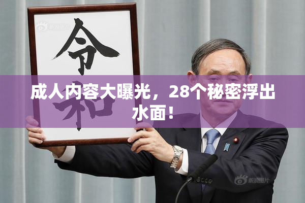 成人内容大曝光，28个秘密浮出水面！