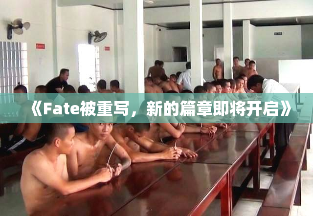 《Fate被重写，新的篇章即将开启》