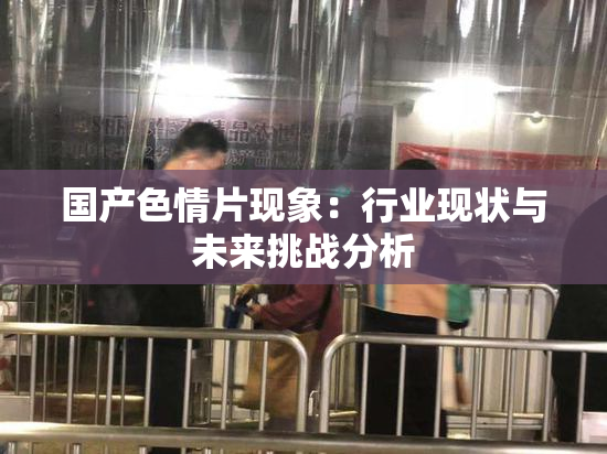 国产色情片现象：行业现状与未来挑战分析