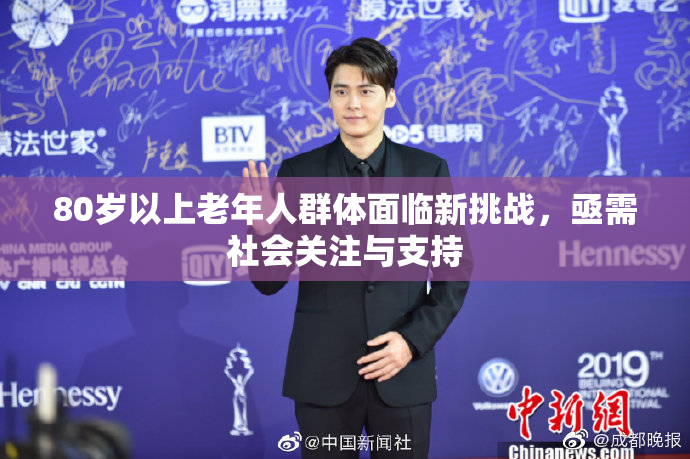80岁以上老年人群体面临新挑战，亟需社会关注与支持