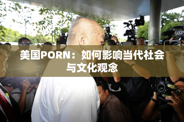 美国PORN：如何影响当代社会与文化观念