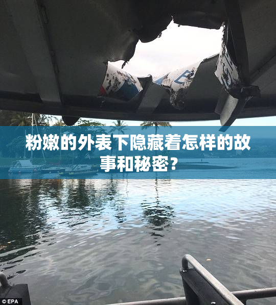 粉嫩的外表下隐藏着怎样的故事和秘密？