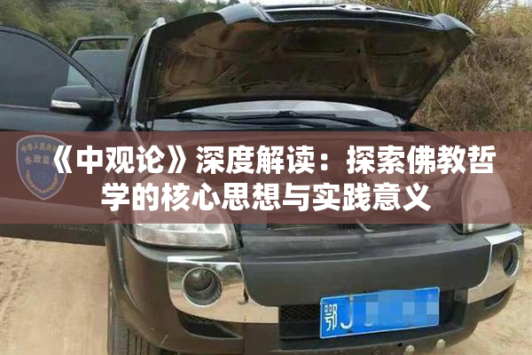《中观论》深度解读：探索佛教哲学的核心思想与实践意义