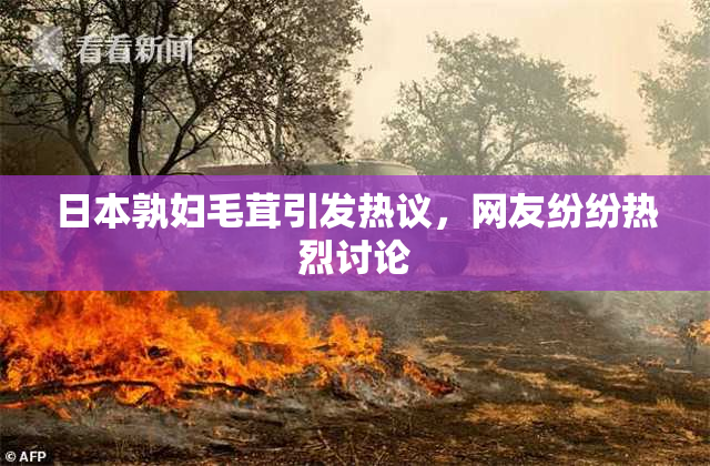 日本孰妇毛茸引发热议，网友纷纷热烈讨论