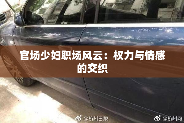 官场少妇职场风云：权力与情感的交织