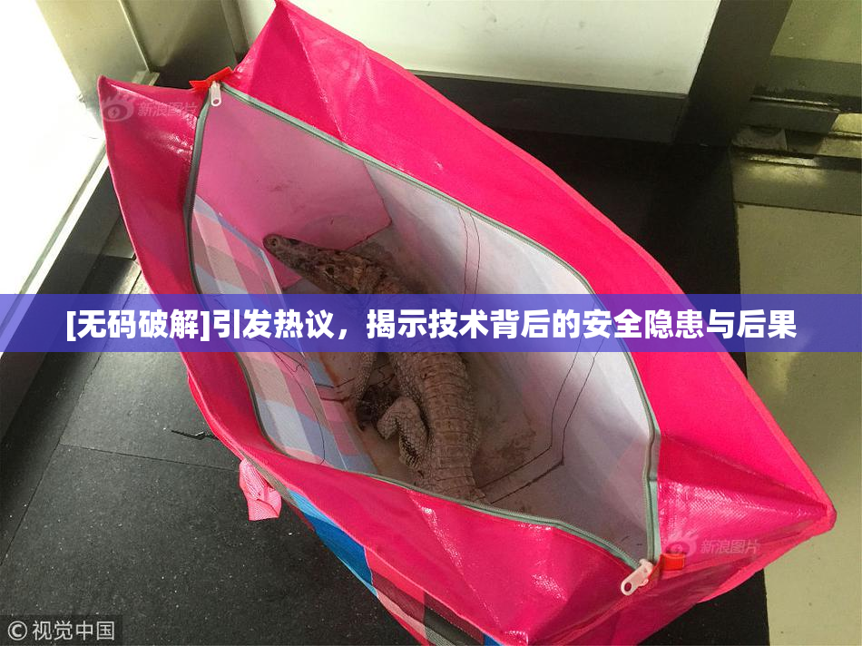 [无码破解]引发热议，揭示技术背后的安全隐患与后果